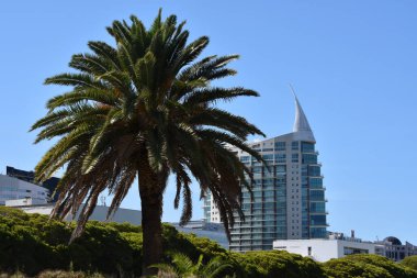 Büyük otel. Uluslar Parkı, Lisbonne Portekiz, Avrupa. 