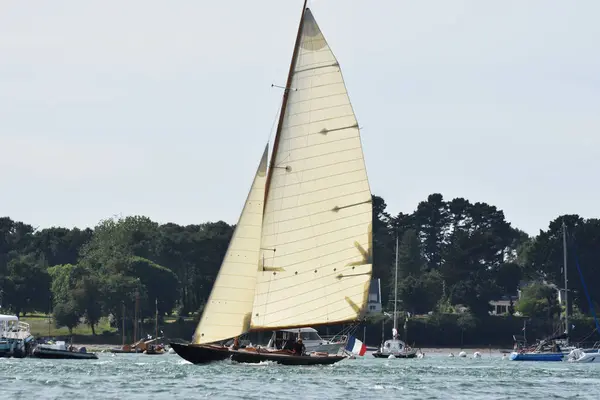 Körfez Morbihan geçit töreninde yelkenli yarışı. Fransa 