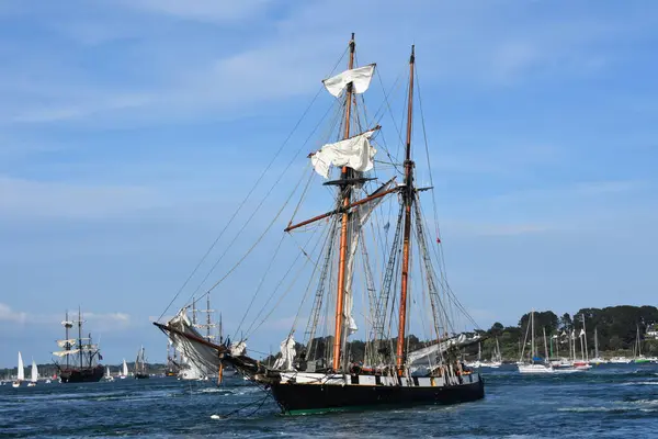 Körfez Morbihan geçit töreninde yelkenli. Fransa 