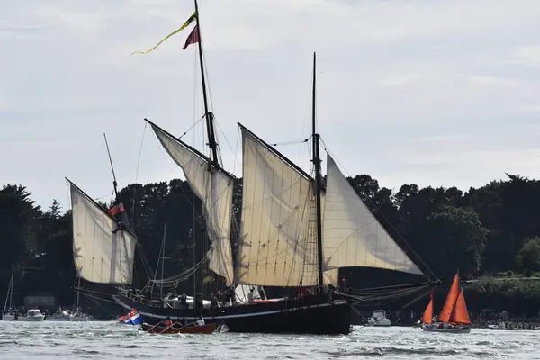 Morbihan Körfezi geçit töreninde eski bir yelkenli. Britanyalıyım. Fransa
