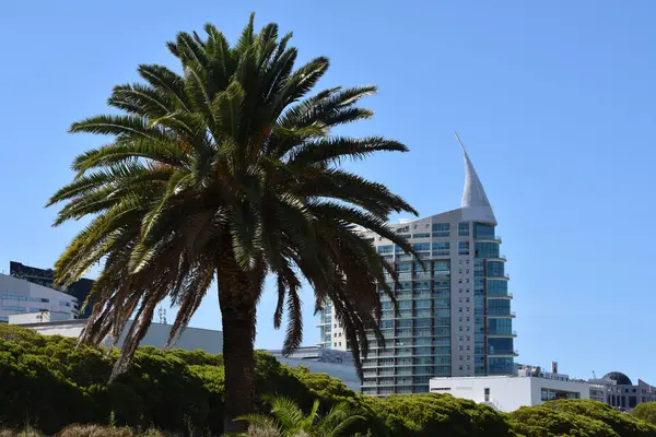 Büyük otel. Uluslar Parkı, Lisbonne Portekiz, Avrupa. 