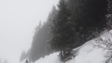 Snowboardcu Alplerin tozlu yamaçlarının tadını çıkarıyor.