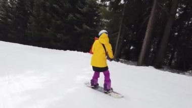 Snowboardcular Alplerin tozlu yamaçlarının tadını çıkarıyorlar.