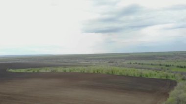 Mavi Traktör, Ukrayna 'da Ayçiçeği tohumları ekiyor.