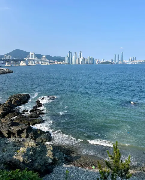 Busan 'daki ikonik Gwangan Köprüsü sakin mavi suların üzerine uzanır ve dalgalar ön plandaki kayalara çarpar. Modern şehir manzarası ve yeşil dağlar berrak gökyüzünün altında manzaralı bir zemin oluşturur..