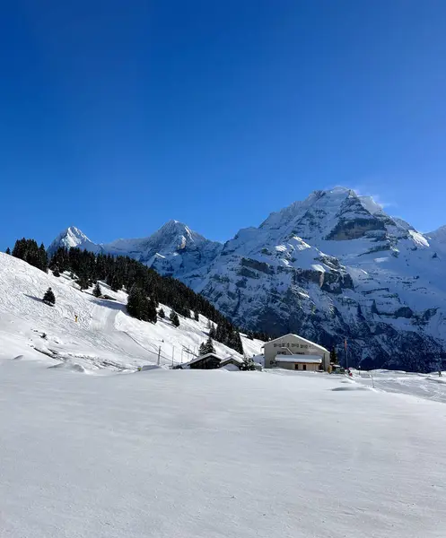 Geniş bir kar tarlası Murren, İsviçre 'deki bir grup binaya doğru uzanır. Çerçevesi hep yeşil ağaçlar ve açık mavi gökyüzü altında sisli dramatik Alp zirveleriyle çevrilidir..