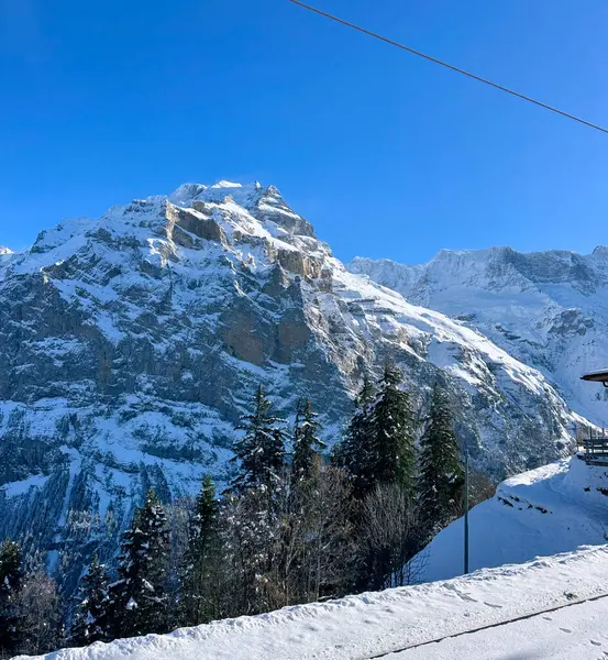 İsviçre 'nin Murren şehrinde karla kaplı Alp tepeleri var. Derin mavi gökyüzü dağların engebeli güzelliğini vurgular, karla kaplı orman yamaçlarıyla bu sakin kış manzarasına zıtlık katar..