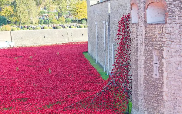 Londra Kulesi 31-10-2014 Ateşkes Günü anısına el yapımı kırmızı gelinciklerle kaplanmıştı.