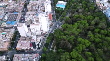 Güney Amerika şehrinde ağaçlarla ve çağdaş binalarla çevrili dört şeritli bir cadde.