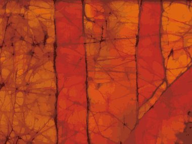 Kırmızı ve turuncu tonlarda renkli batik arkaplan