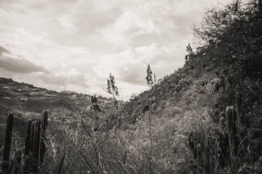 Peru 'daki And Dağları manzaralı eski bir film..