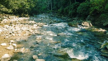 Powerful river flowing through the heart of the Peruvian jungle.