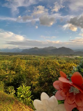 Tingo Maria, Peru 'da orman vadisi.