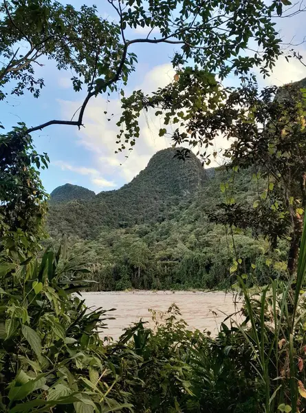 Güzel bir nehir manzarası ve Peru ormanındaki dağlar..