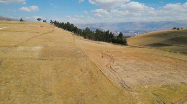 Peru Puna 'sında koyun güden bir çobanın robot görüntüsü.