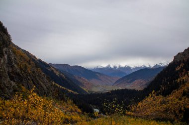 Dağlarla çevrili çarpıcı bir vadiyi keşfedin, canlı sonbahar renklerini ve dramatik gökyüzünü gösterin. Georgia 'nın kuzeyinde yer alan gizemli Svaneti' nin güzel manzaraları.