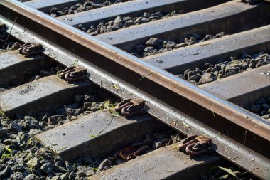 Bu resim, ağaçların arka planda belirgin bir şekilde yer aldığı ve olay yerine derinlik kazandıran bir tren rayının yakın görüntüsünü gösterir.