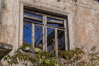 Eski, yıkık dökük bir binada kırık bir pencere ve önünde büyüyen bir ağaç var, bu da sahnelere tarihi bir katkı sağlıyor.