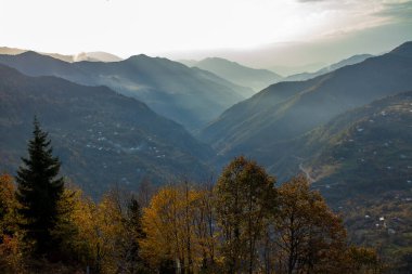 Görkemli bir dağ sırasının güzel bir manzarası manzaraya yayılıyor, önplanda uzun ağaçlar manzaraya derinlik katıyor.