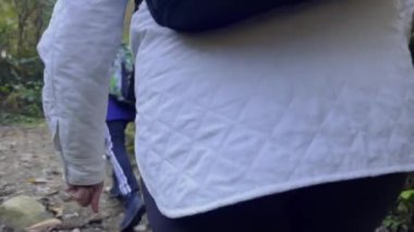 Doğa ve keşiflerin güzelliğini gözler önüne seren manzaralı bir patika boyunca huzurlu ve canlandırıcı bir yürüyüşün tadını çıkarın.