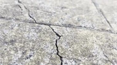 Bu, çatlamış beton yüzeyin detaylı bir görüntüsü, zamanla aşınmanın ve yaşlanmanın etkilerini vurguluyor.