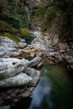 Huzurlu bir nehir kayalık arazide akar. Etrafı canlı doğayla çevrilidir. Rahatlama ve huzur için idealdir. Georgia 'daki Martivilli Kanyonu.