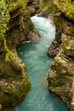 Sakin bir nehir, canlı yeşil yosun ve kayalık kayalıklarla güçlendirilmiş dar bir kanyondan zarifçe akar. Georgia 'daki Martivilli Kanyonu.