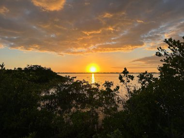 Parlak sarı bir güneş denizi aydınlatıyor ve turuncu bulutlar Florida Keys sularına doğru batıyor.