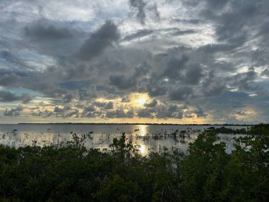 Florida Keys 'in mangrovları ve tuzlu su düzlüklerinde güneş batarken gökyüzünü karamsar ve gri yapan çeşitli bulutlar var.