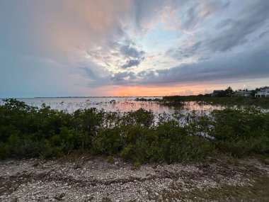 Günbatımının renkleri Florida Keys 'in tuzlu su düzlükleri ve mangrovları üzerindeki gökyüzü turuncu ve gridir.