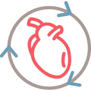 Kalp organı. Basit resimleme