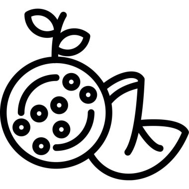 Taze domates ikonu. Beyaz arkaplanda izole edilmiş web tasarımı için taze domates vektör simgesi ana hatları