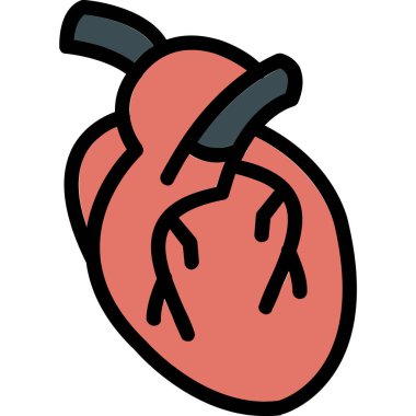 Kalp organı. Basit tasarım