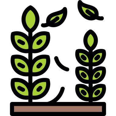 yapraklar bitki doğa simgesi