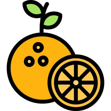 meyve ikonu. vektör illüstrasyonu