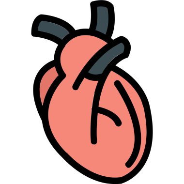 Kalp organı. Basit tasarım