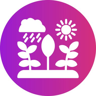 Siyah çizgi güneşi ve hava tahmini simgesi beyaz arkaplanda izole edildi. Simgeleri renklendir. vektör illüstrasyonu