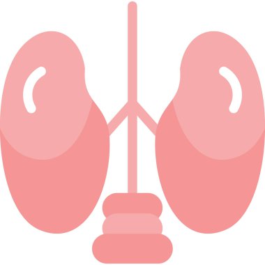 Ciğerler. Web simgesi basit illüstrasyon