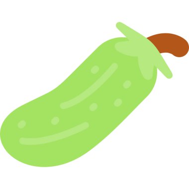 salatalık, vektör veya renk düz simgesi.