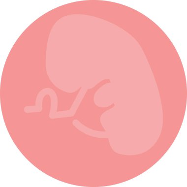 böbrek düz vektör simgesi