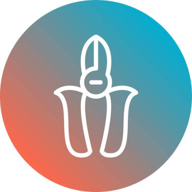 Bir simgenin vektör illüstrasyonu