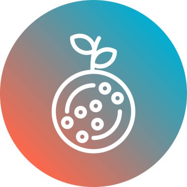 Eşsiz meyve vektör çizgisi simgesi