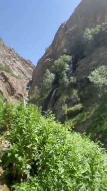 Kuşların cıvıltısı doğayla uyum içinde, tıpkı müziğin sesi gibi.