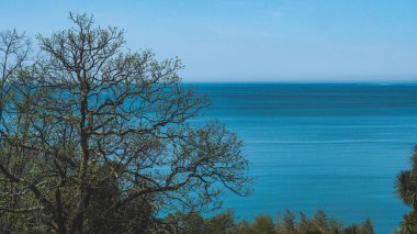 Sahil manzaralı Karadeniz Gürcistan sakin