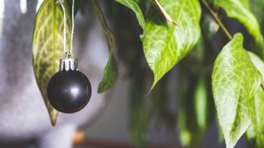Noel süslemeleri siyah cam top minimalist fotoğraf süsleme