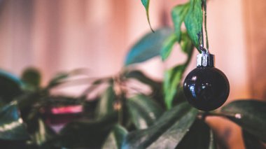 Noel süslemeleri siyah cam top minimalist fotoğraf süsleme