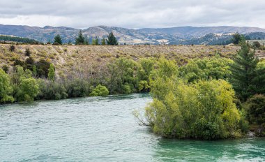 Beautiful blue river flowing nature scenery Clutha New Zealand green trees nz clipart