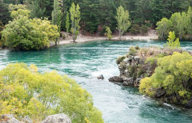 Beautiful blue river flowing nature scenery Clutha New Zealand green trees nz clipart