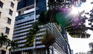 Mimari binalar Penang Malezya sokak manzaralı fotoğraflar