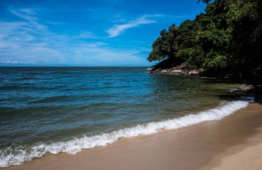 Tropikal sahil kıyısı Asya Malezya su kıyısı fotoğrafı